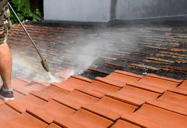 Best Commercial Building Pressure Washing  in Prairie Grove, IL