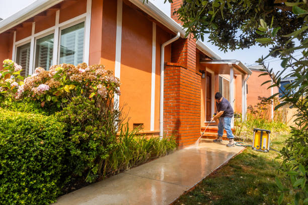 Best Exterior Home Cleaning  in Prairie Grove, IL