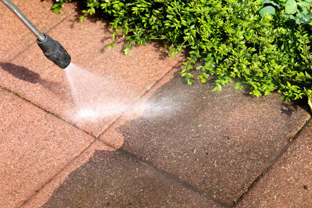 Local Pressure Washing Services in Prairie Grove, IL